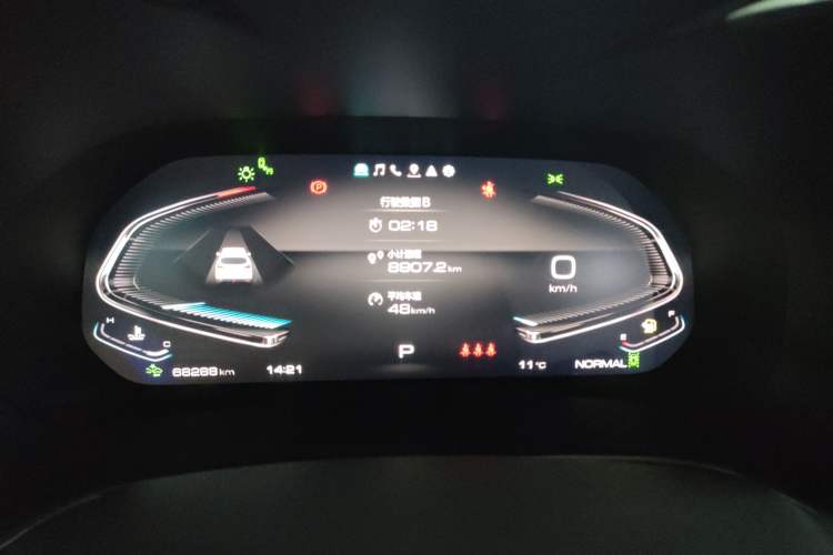 Used Wey VV6 2021 2.0T Two-Wheel Drive Smart Protection+