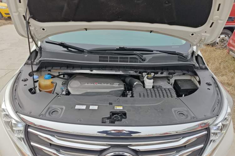 Used GAC Trumpchi M8 2018 320T Luxury Edition
