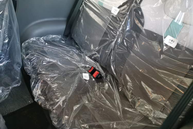 Used  Lumin 2024 130km Qingyue Version