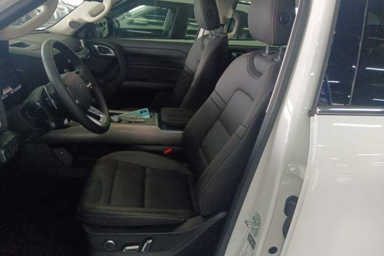 Used Haval DARGO 2024 2.0T DCT Chinese Rural Dog Edition
