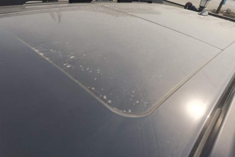 Used Haval DARGO 2024 2.0T DCT Chinese Rural Dog Edition
