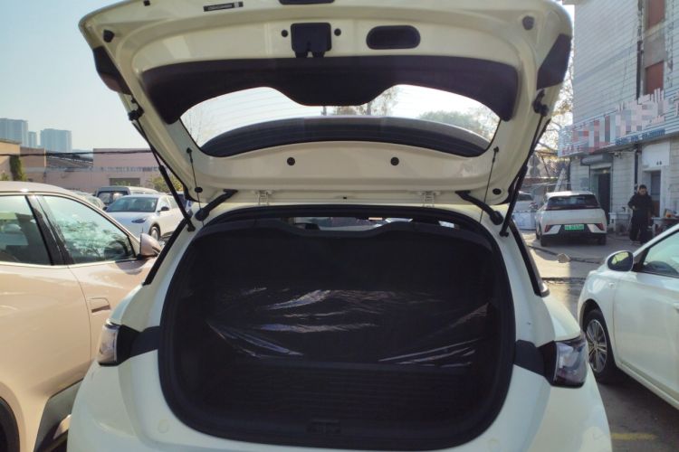 Used BYD Dolphin 2025 420km Free Edition
