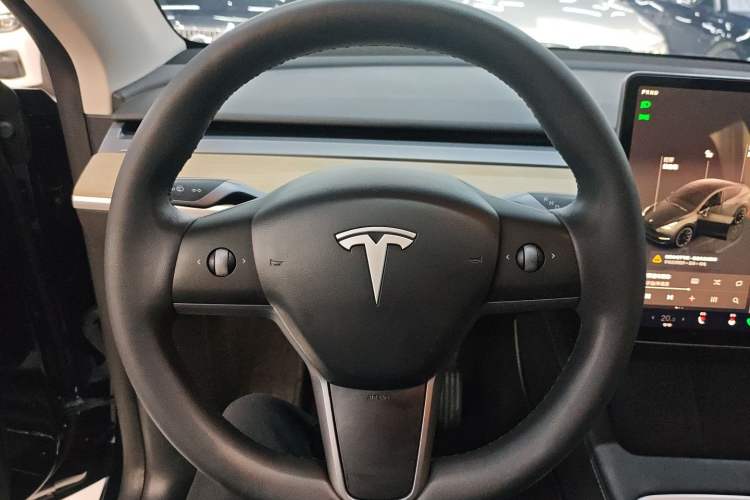 Used Tesla Model Y 2022 Revised Version Long-Range All-Wheel Drive