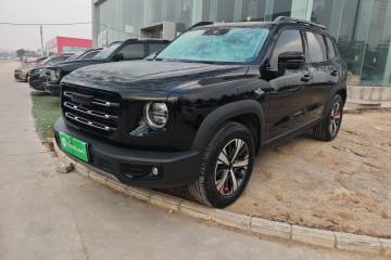 Used Haval DARGO 2022 1.5T DCT Two-Wheel Drive Labrador Edition