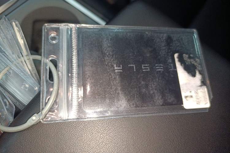 Used Tesla Model Y 2021 Standard Range Rear-Wheel Drive Version
