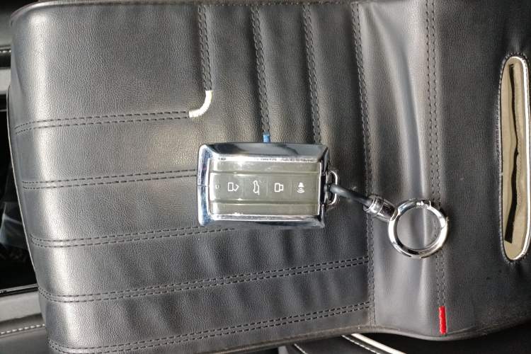 Used Tank 300 2024 2.0T Crosser
