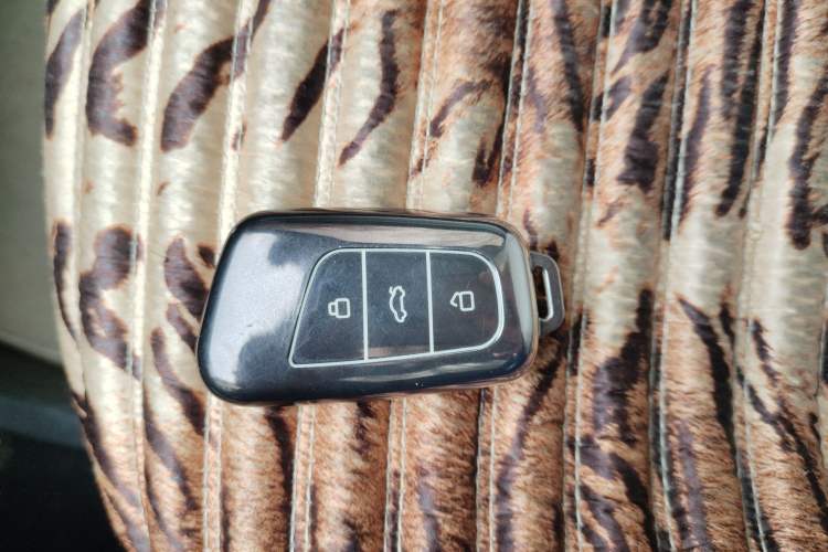 Used Chery Little Ant 2021 150 000 Yuan "Ant Fan" Edition New Ant Cool Version Lithium-Ion Battery
