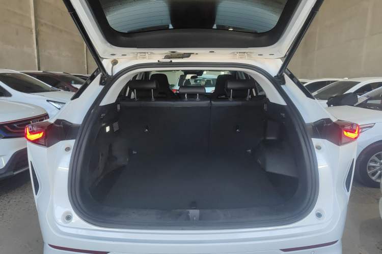 Used Oshan Z6 2022 Blue Whale 1.5T DCT Smart Edition Urban Version
