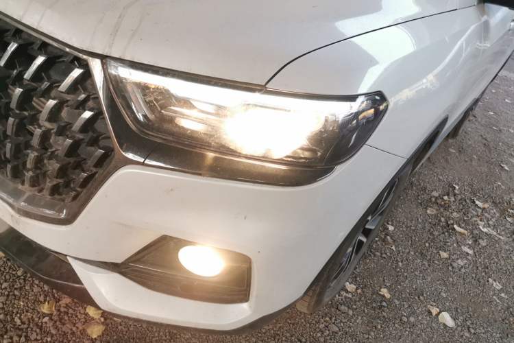 Used Haval H6 2023 National Trend Edition 1.5T Automatic Urban Version
