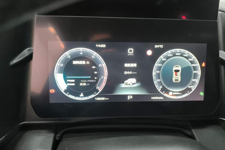 Used Haval DARGO 2024 2.0T DCT Chinese Rural Dog Edition
