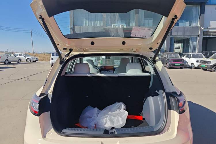 Used  Geome 2025 UP 410km Exploration Edition
