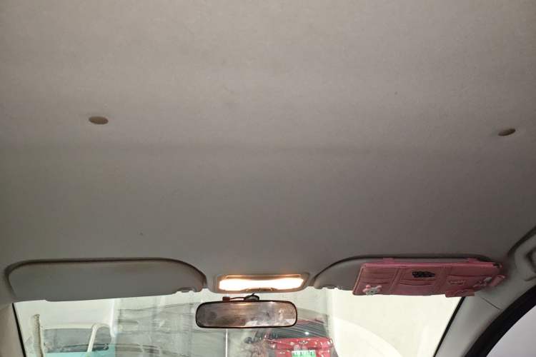 Used SOL E10X 2022 Flower Fairy Style Baby's Breath