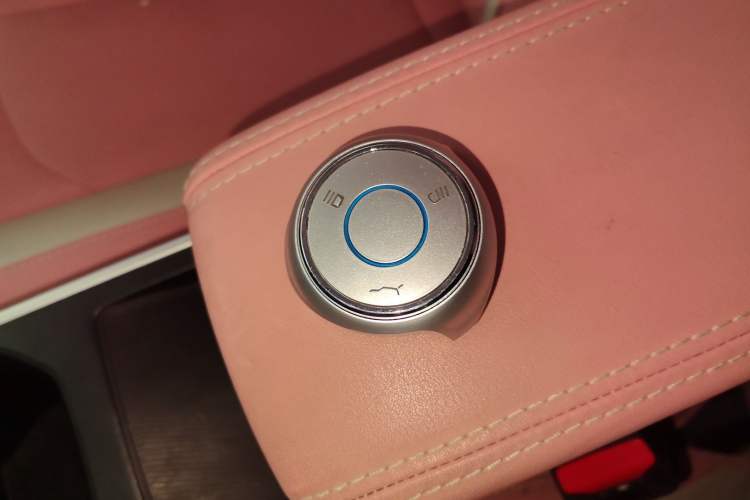 Used NETA V 2021 Witch Edition
