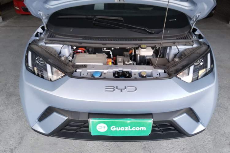 Used BYD Seagull 2024 Honor Edition 305km Dynamic Version
