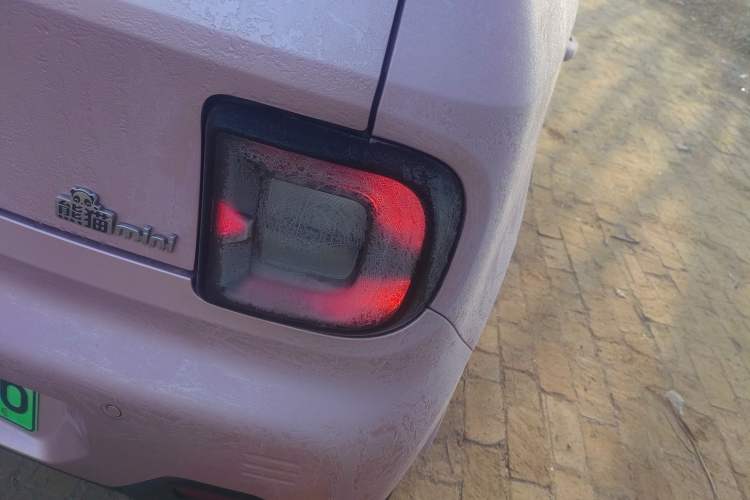 Used  Panda 2024 Panda Mini 200km Endurance Bear