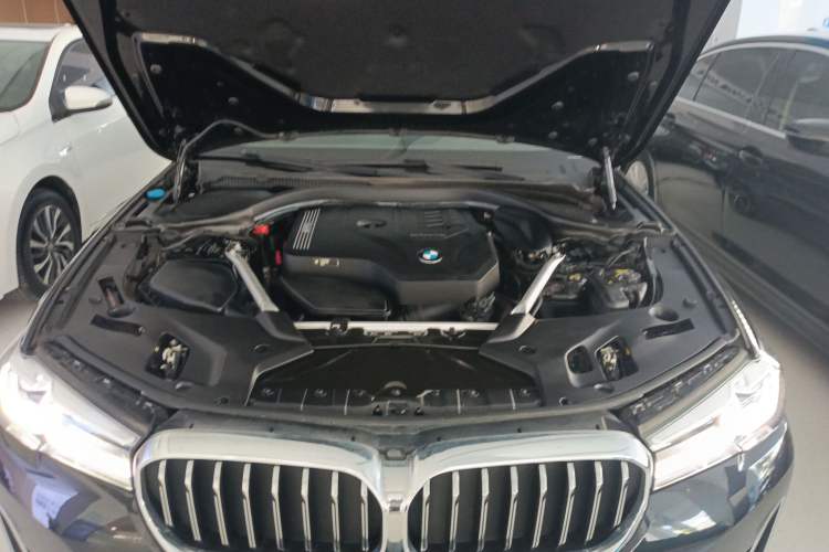 Used BMW 5 Series 2021 530Li Leading Luxury Package
