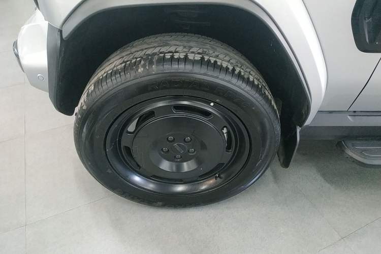 Used  V23 2025 401 Two-Wheel Drive Intelligent Driving Version