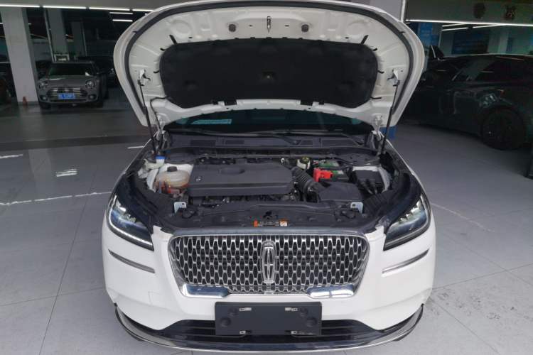 Used Lincoln Corsair 2020 2.0T Two-Wheel Drive Luxury Edition
