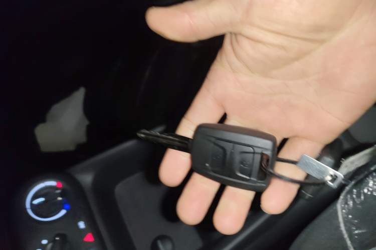 Used Wuling Hongguang New Energy 2024 All-Electric Model 300KM Practical Version
