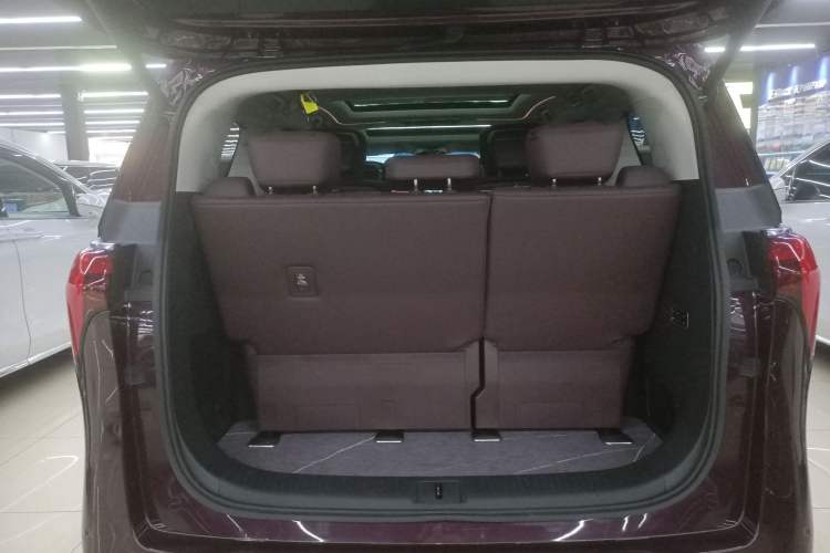 Used Buick Century 2023 2.0T Seven-Seater Yinshi Edition