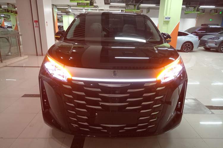 Used BYD Xia 2025 DM-i 1.5T 100km Supreme Edition
