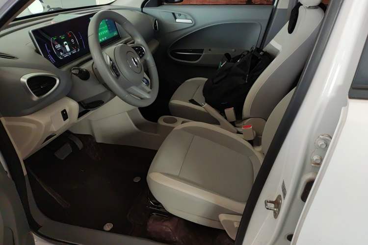 Used ORA White Cat 2020 360km Standard Version