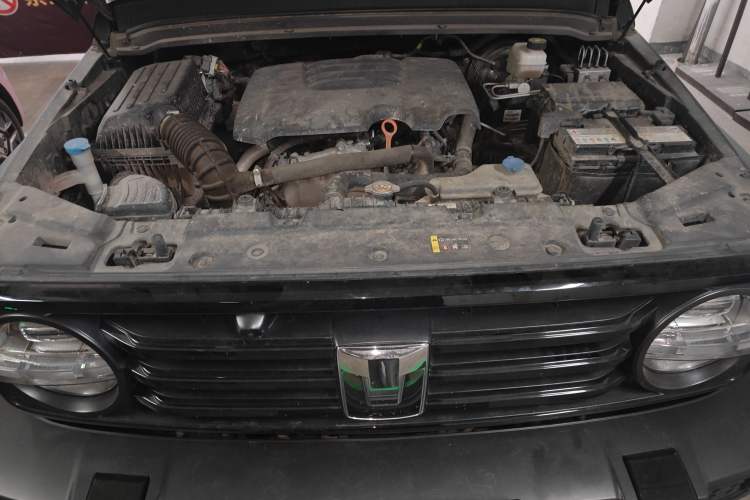 Used Tank 300 2021 Off-Road Edition 2.0T Conqueror