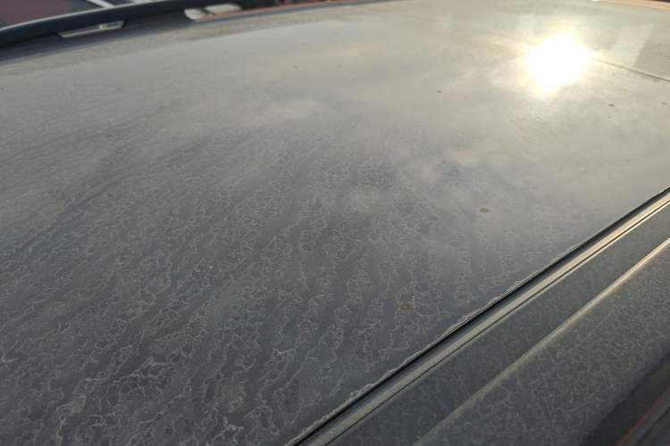 Used  Renegade 2019 220T Automatic Leading Edition
