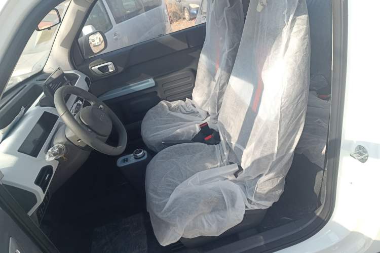 Used  Panda 2024 Panda Mini 200km Endurance Bear