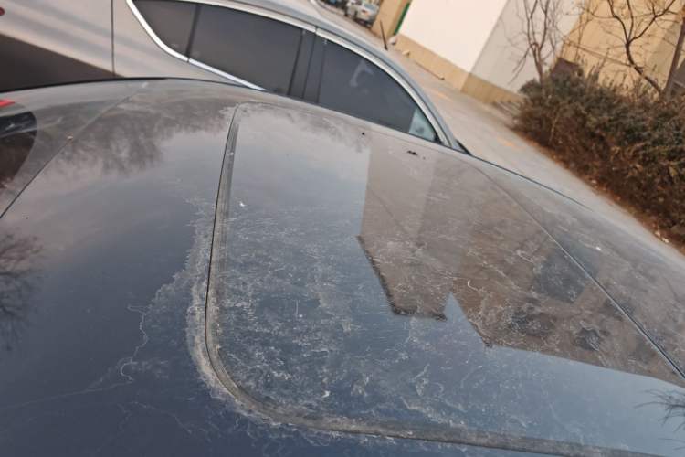 Used Volkswagen Lavida 2019 280TSI DSG Comfort Edition China VI standard