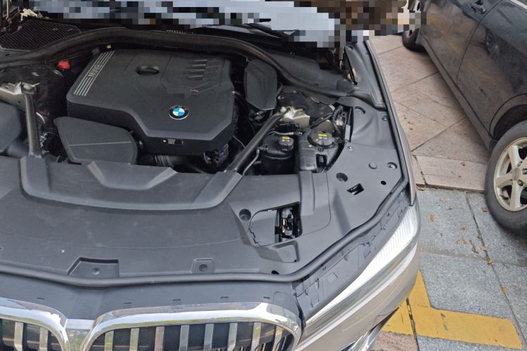 Used BMW 7 Series 2019 730Li Luxury Package
