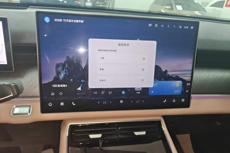 Used Chery Tiggo 8 L 2024 2.0T Two-Wheel Drive Prestige Version 5 Seats
