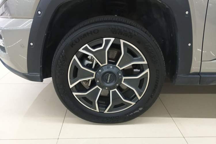 Used Haval H Dog New Energy 2024 Hi4 102km Trend Electric Version Plus