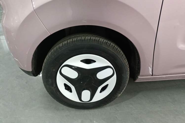 Used  Panda 2025 210 km – Yuanqi Bear