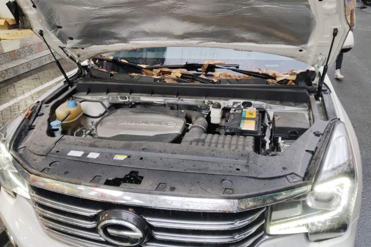 Used GAC Trumpchi GS7 2017 280T Two-Wheel Drive Luxury Model