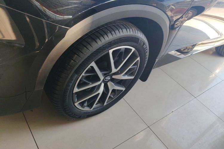 Used GAC Trumpchi GS8 2024 Linghang Series 2.0 TGDI Two-Wheel Drive Luxury Smart Connectivity Version