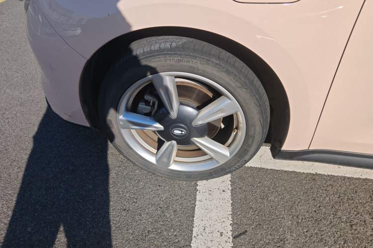 Used ORA Good Cat 2022 400km Standard Range Premium Version Lithium Iron Phosphate
