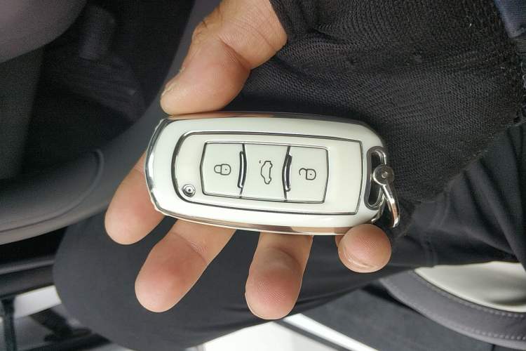 Used  Panda 2025 210km Panda Rider