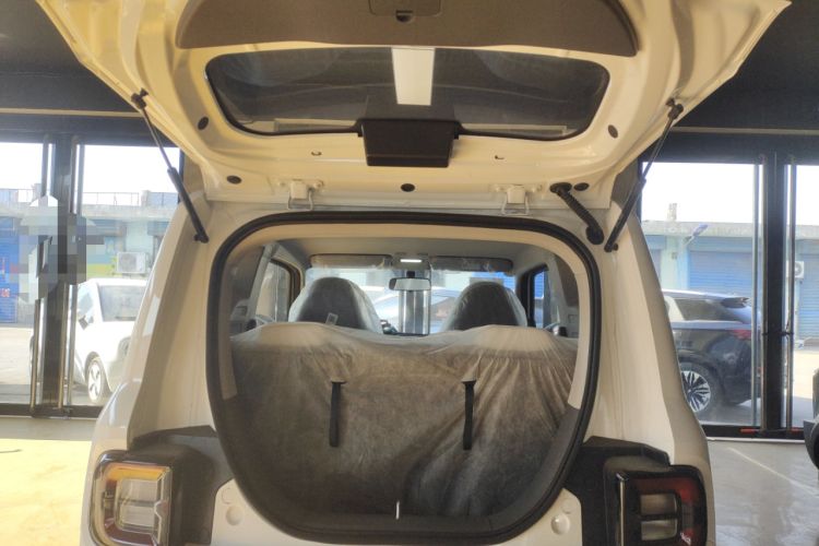 Used  Panda 2025 210 km – Yuanqi Bear