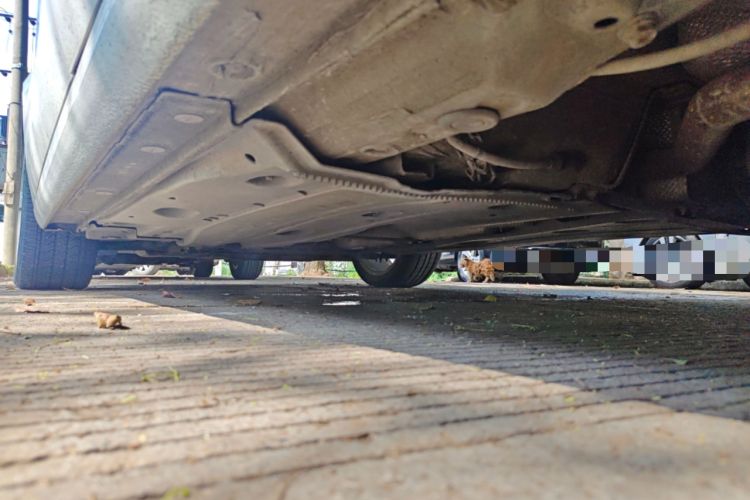 Used Audi A3 2014 Limousine 35 TFSI Automatic Comfort Model
