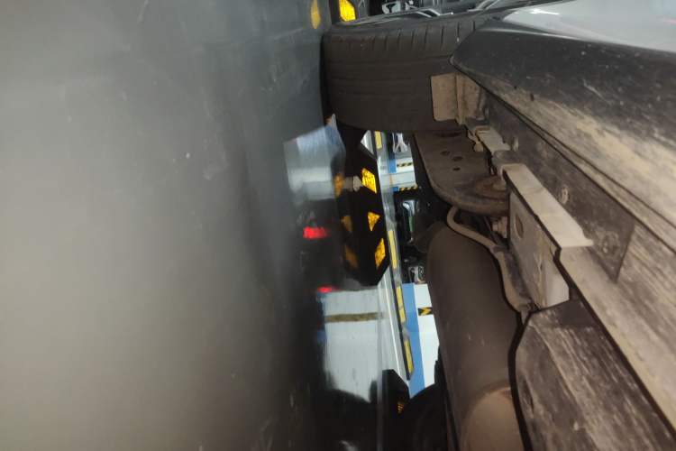 Used Lexus RX 2020 300 4x4 Elegant Edition China VI