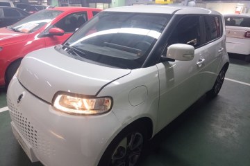 Used ORA White Cat 2020 305 km Luxury Version