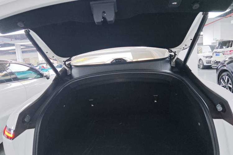 Used  06 2025 Ultra Pure Electric Edition
