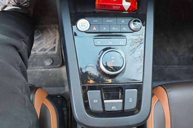 Used BYD e2 2021 Luxury Model