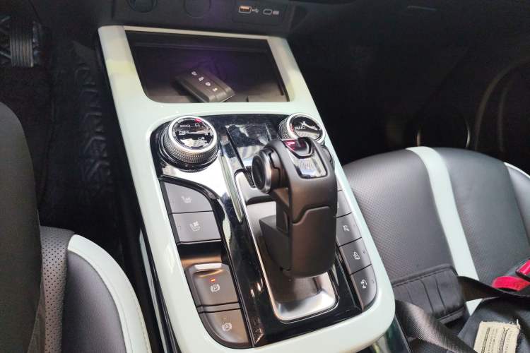 Used Tank 300 2021 City Edition 2.0T Essential Model