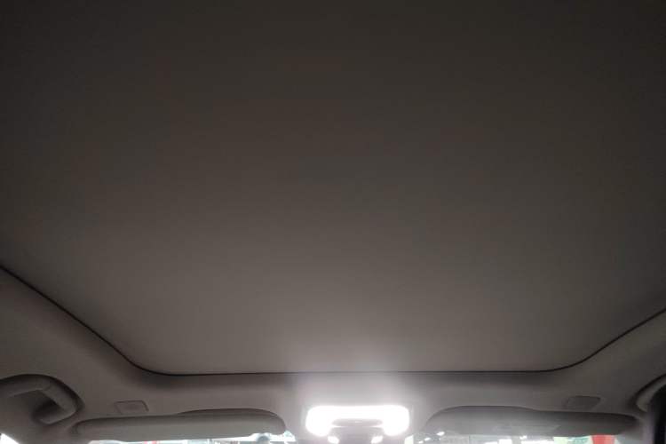 Used Hongqi H9 2020 2.0T Smart Connect Flagship Edition