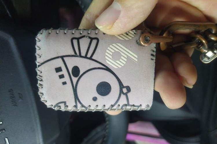 Used Lynk & Co 06 2021 1.5T Shero Pink Special Edition