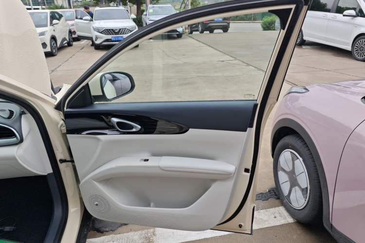 Used  Geome 2025 310km Youth Edition
