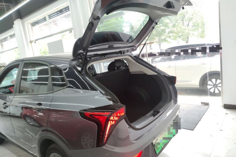 Used NETA V 2022 Pro Long-Range Smart Edition
