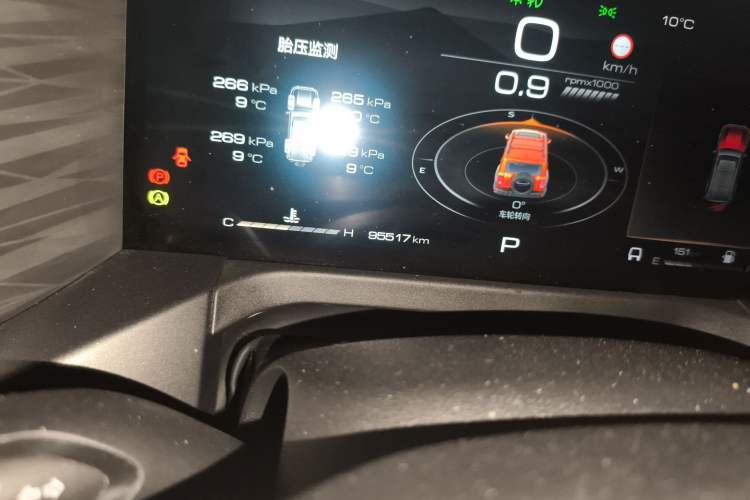 Used Tank 300 2022 2.0T Tank Ranger
